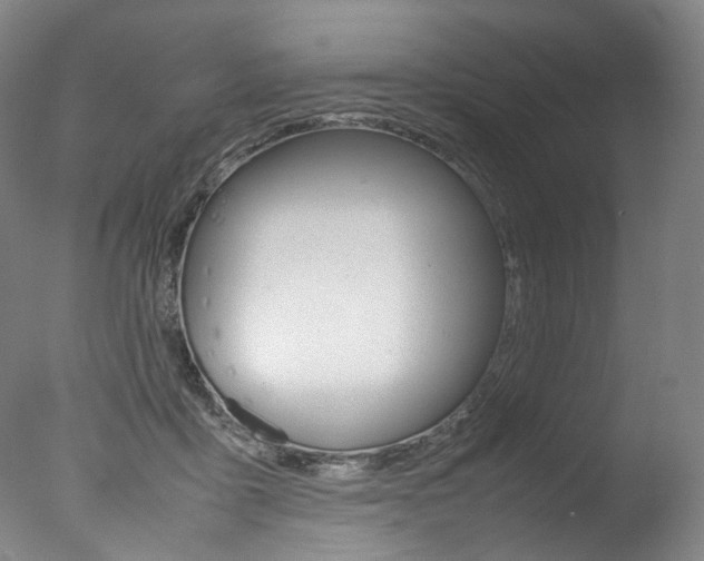 X0000077380411200610201048
