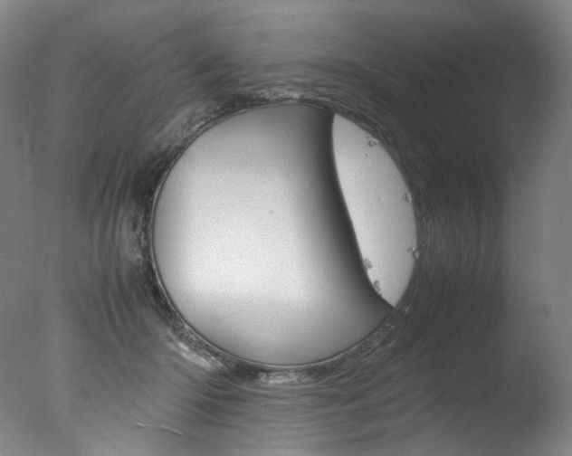 X0000077380414200610201048