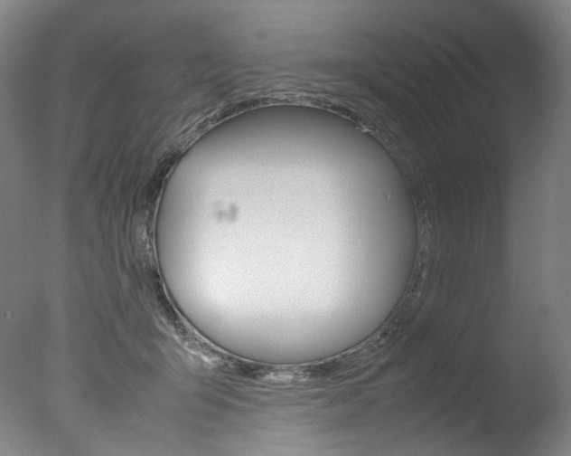 X0000077380415200610201048