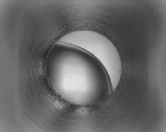 X0000077380416200610201048