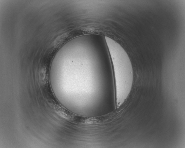 X0000077380420200610201048