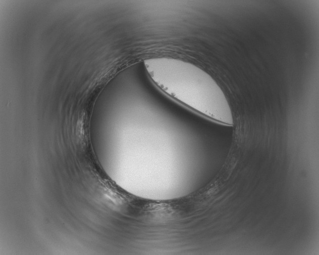X0000077380424200610201048