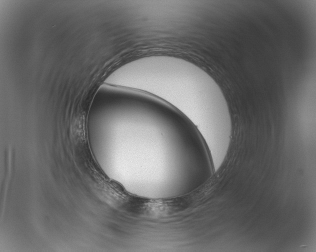 X0000077380425200610201048