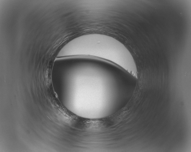 X0000077380428200610201048
