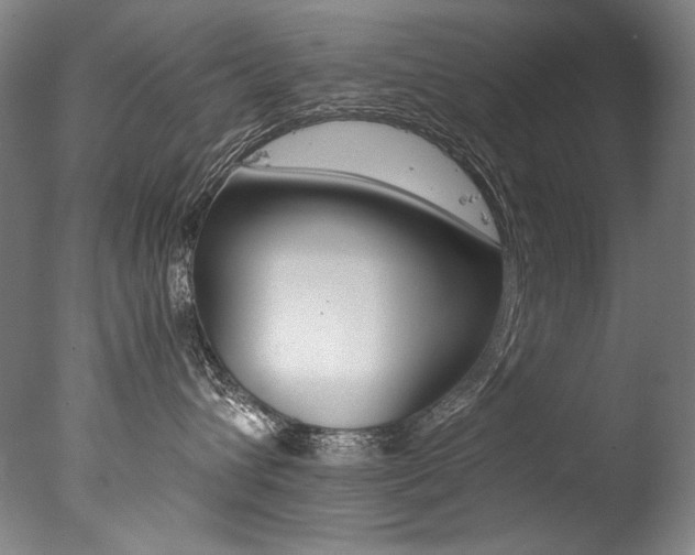 X0000077380432200610201047
