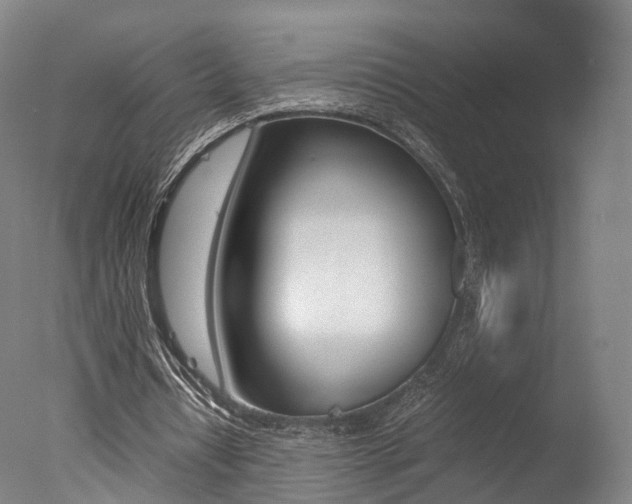 X0000077380434200610201047