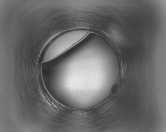 X0000077380435200610201047