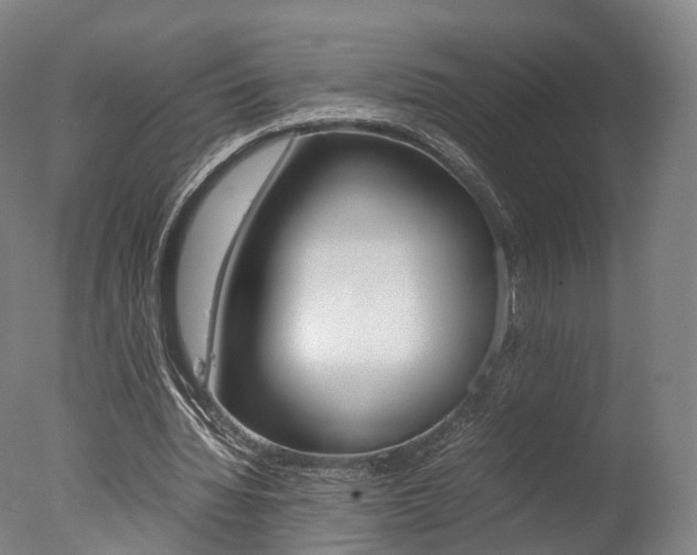 X0000077380436200610201047