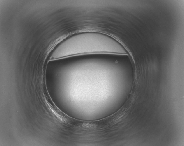 X0000077380437200610201047