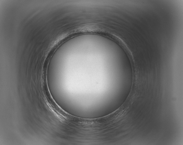 X0000077380439200610201047