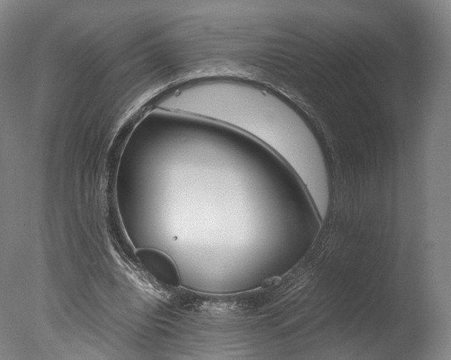 X0000077380440200610201047