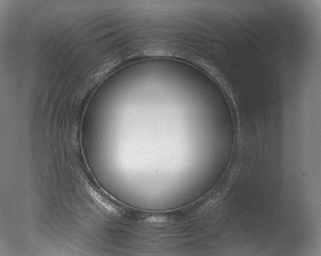 X0000077380441200610201047