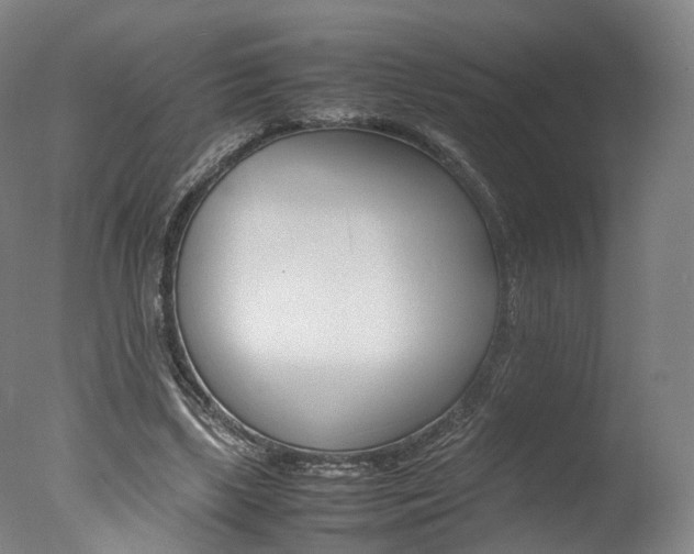 X0000077380443200610201047
