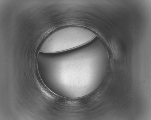 X0000077380445200610201047