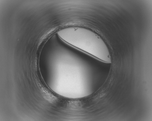 X0000077380446200610201047