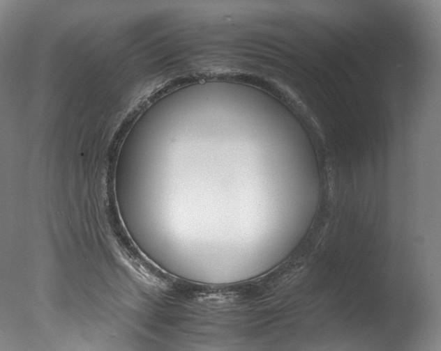 X0000077380447200610201047