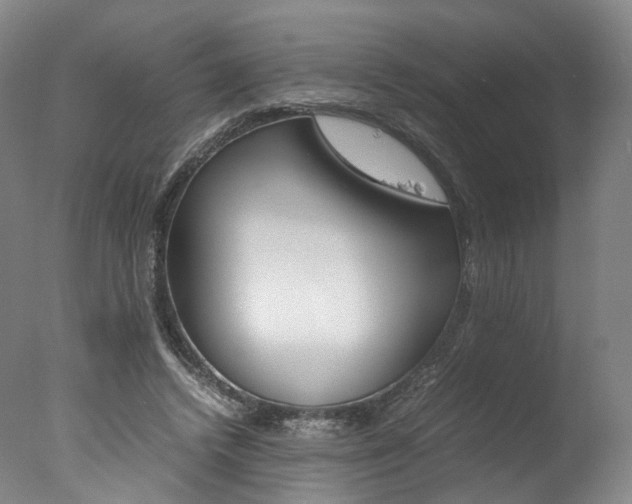 X0000077380448200610201047
