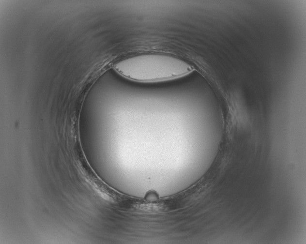 X0000077380449200610201047