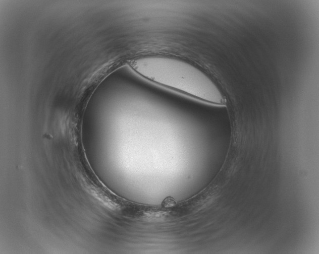 X0000077380450200610201047