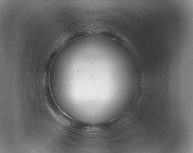 X0000077380451200610201047