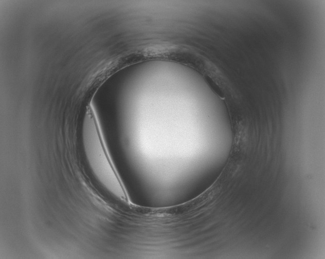 X0000077380452200610201047