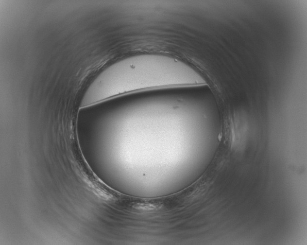 X0000077380453200610201047