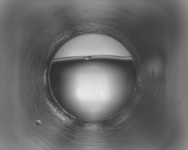 X0000077380454200610201047
