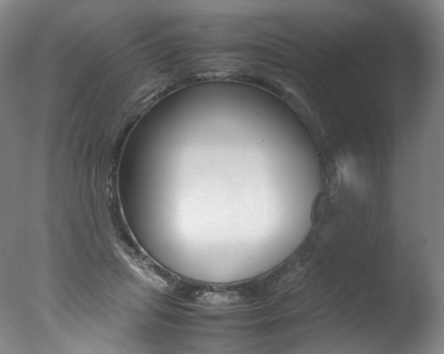 X0000077380455200610201047