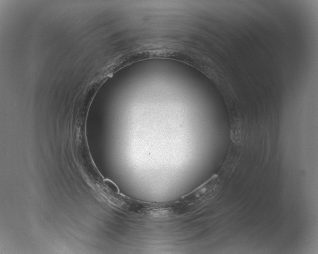 X0000077380456200610201047