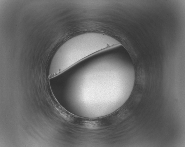 X0000077380457200610201047