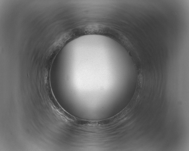 X0000077380458200610201047