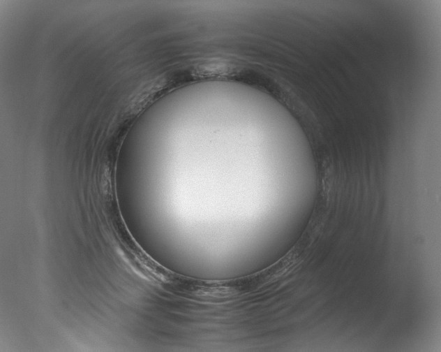 X0000077380459200610201047