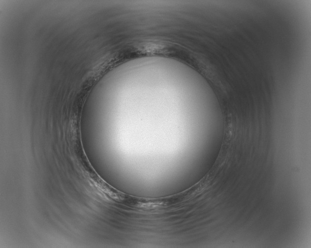 X0000077380461200610201047
