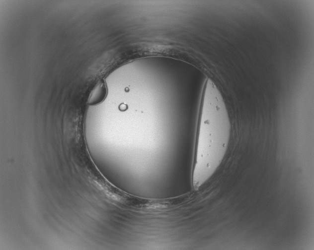 X0000077380462200610201047
