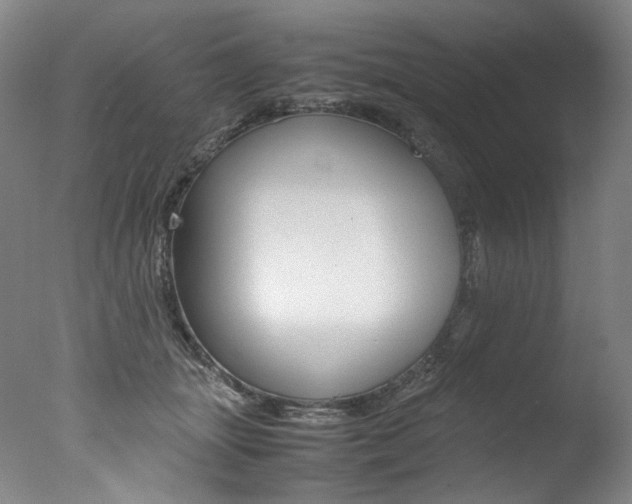 X0000077380463200610201047
