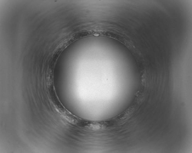X0000077380464200610201047