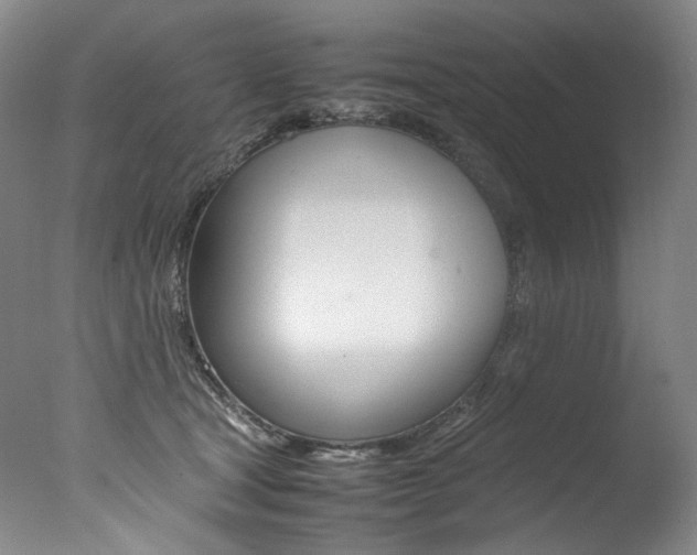 X0000077380465200610201047