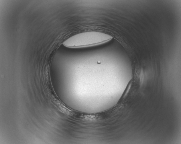 X0000077380473200610201047