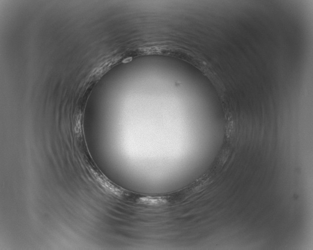 X0000077380477200610201047