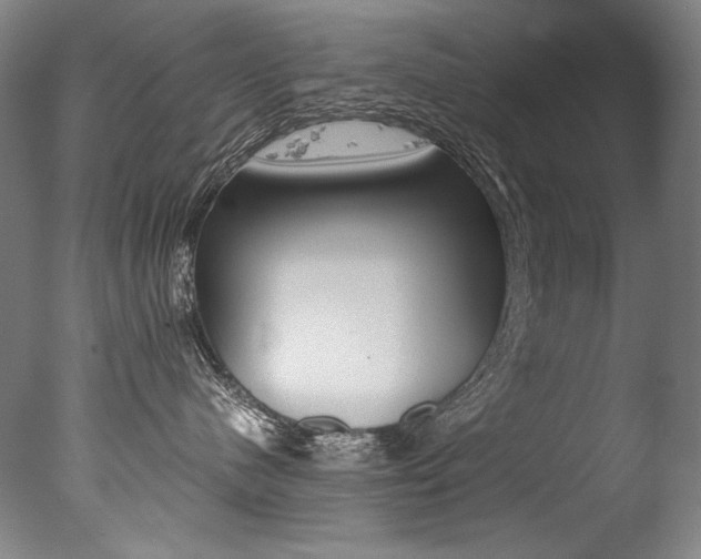 X0000077380480200610201047