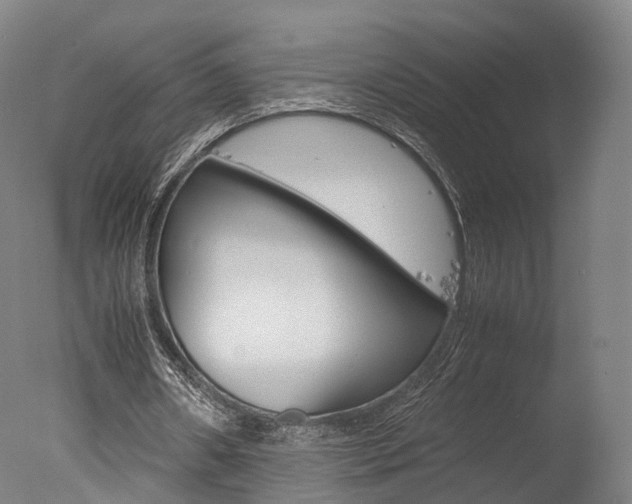 X0000077380482200610201047