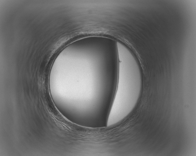 X0000077380483200610201047