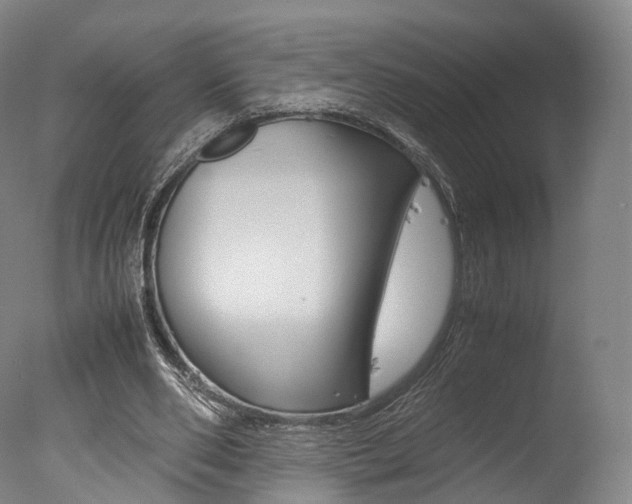 X0000077380486200610201047