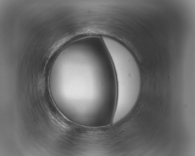 X0000077380488200610201047