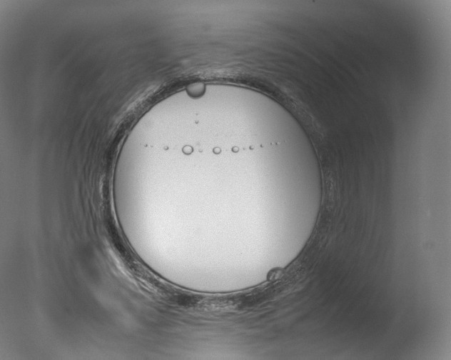 X0000077380491200610201046