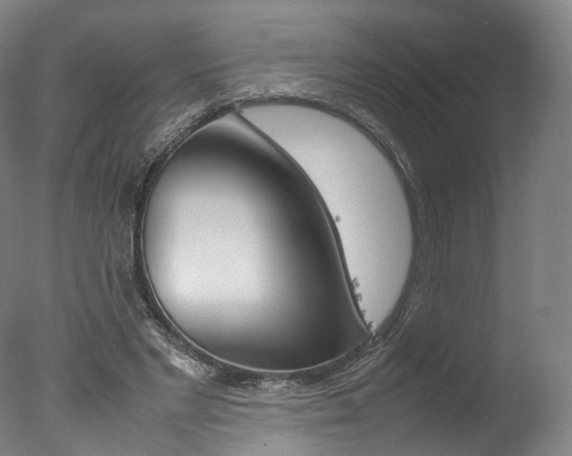 X0000077380493200610201046