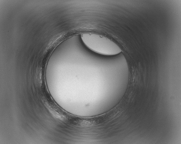 X0000077380494200610201046