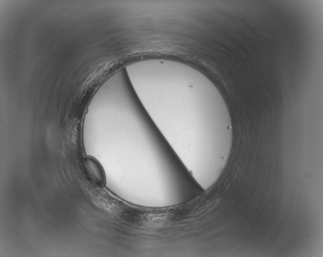 X0000077380495200610201046