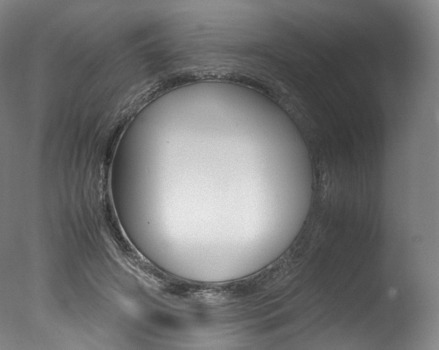 X0000077380498200610201046