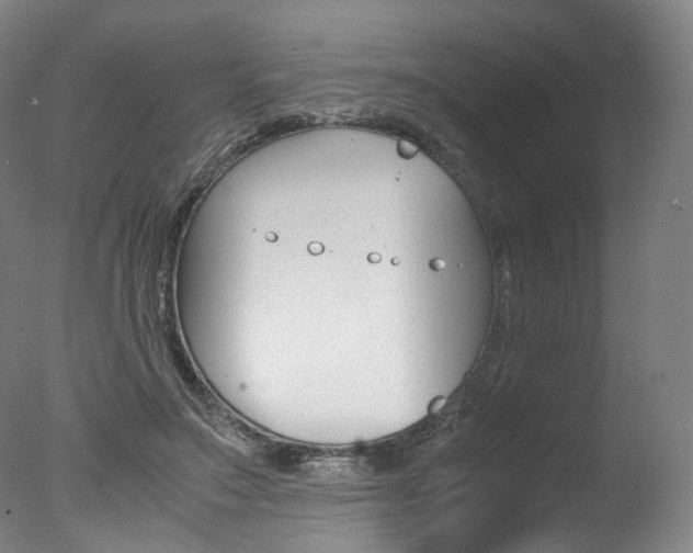 X0000077380499200610201046